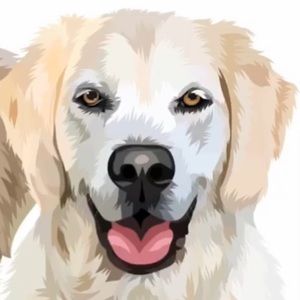 Meet your Posher, Deanna